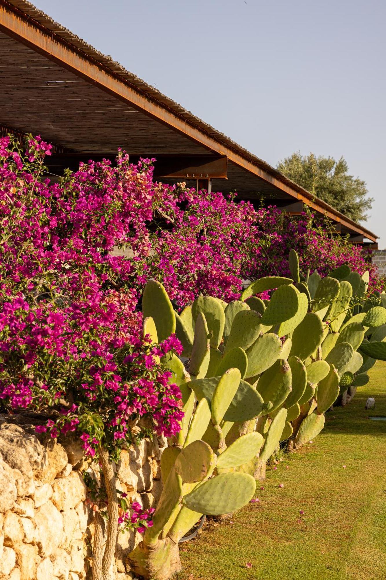 Masseria San Francesco Savelletri Εξωτερικό φωτογραφία