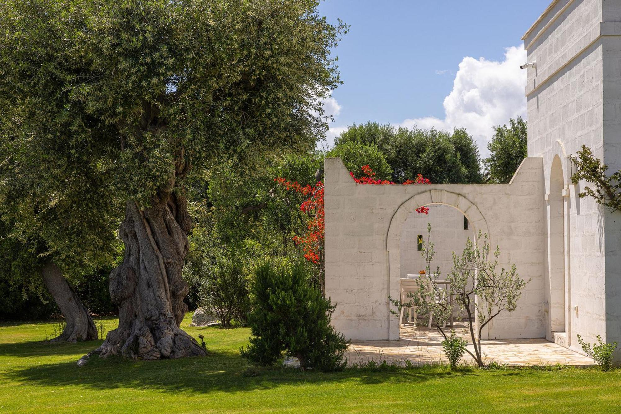 Masseria San Francesco Savelletri Εξωτερικό φωτογραφία
