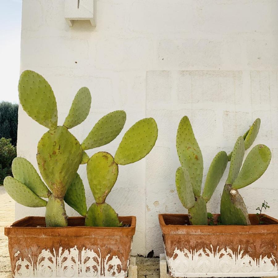Masseria San Francesco Savelletri Εξωτερικό φωτογραφία